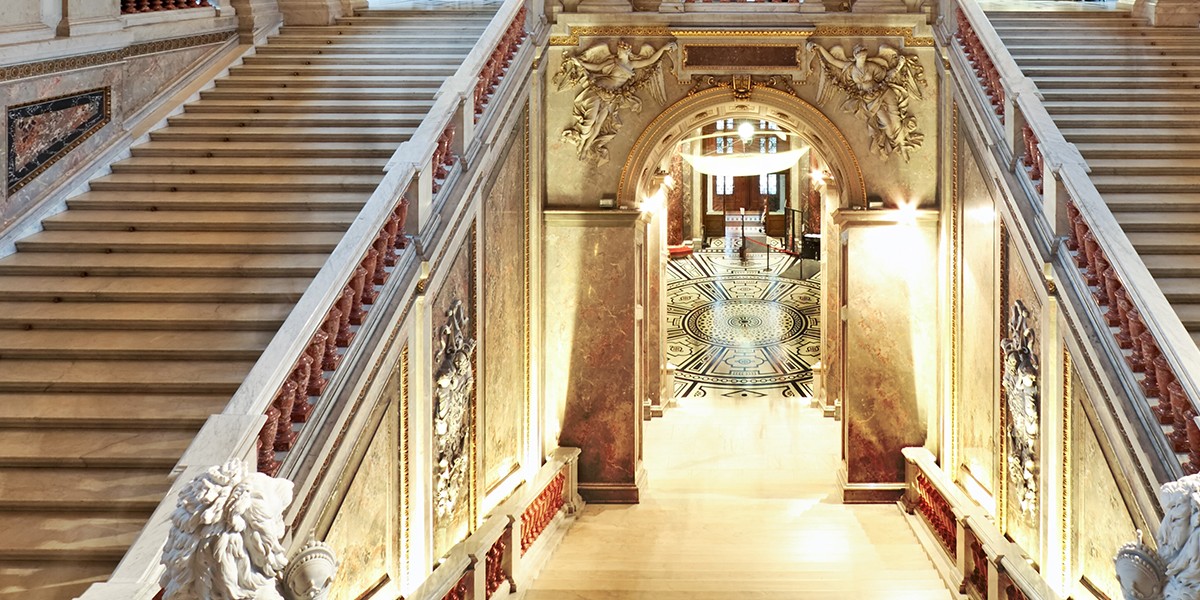 b-cat-onsectetur adipiscing